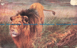 R668994 Lion. J. Salmon. Postcard. 1950 - Monde