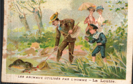 Les Animaux Utilisés Par L'homme - La Loutre - Other & Unclassified