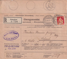 R Einzugsmandat  "Fischer, Fehraltdorf" - Selzach        1917 - Cartas & Documentos