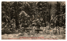 La Guerre De 1914-1915 Dans Les Vosges - Bataille Du Col De La Chipotte (tombes Allemandes) - Other & Unclassified