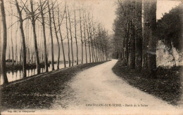 N°4451 W Cpa Chatillon Sur Seine -bords De Ls Seine- - Chatillon Sur Seine