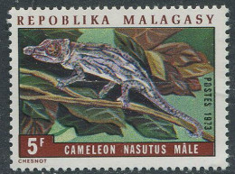 Repoblika Malagasy:Unused Stamp Lizard, Chameleon, 1973, MNH - Serpents