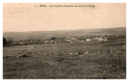 Collection Musée De Ménil Sur Belvitte - Ménil - Les Tranchées Allemandes Aux Abords Du Village (11) - Autres & Non Classés