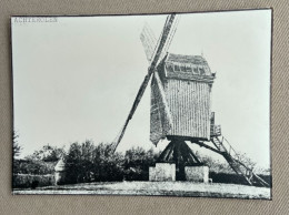 ACHTER-OLEN - Molen / Moulin  - 14,5 X 10,5 Cm. (REPRO PHOTO !) - Orte