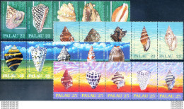 Conchiglie 1986-1989. - Palau