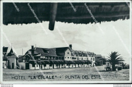 Cf440 Cartolina Hotel La Cigale Punta Del Este Uruguay - Sonstige & Ohne Zuordnung