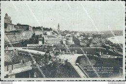 Cf459 Cartolina Belgrade La Cilatelle Serbia - Andere & Zonder Classificatie