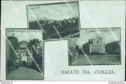 Ce596 Cartolina Saluti Da Guiglia Provincia Di Modena Emilia Romagna - Modena