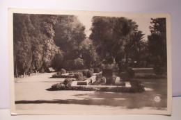 OUJDA   - ( Maroc )  -   Le Jardin Public - Andere & Zonder Classificatie