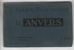 Anvers Zoo ( 10 Kaarten ) - Antwerpen