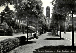 MASSA LOMBARDA - VIALE  UMBERTO  RICCI - 1954 - Ravenna