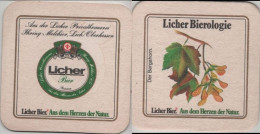 5005989 Bierdeckel Quadratisch - Licher - Beer Mats