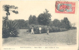 Centraal - Afrikaanse Republiek, Haute Sanga, Haie D' Aloès  (2 X Scan) - Zentralafrik. Republik