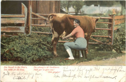 Kuh Melken - Viehzucht