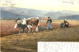 Landwirtschaft - Cultivation