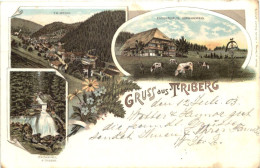 Gruss Aus Triberg - Litho - Triberg