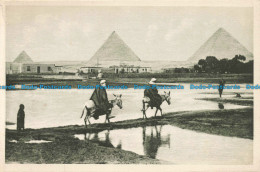 R671175 General View Of The Pyramids. Castro Brothers - Monde