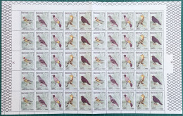 Syria NEW MNH 2024 Issue - Birds, Complete Set 5v. Se-tenant - FULL SHEET - Syrien