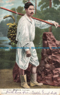 R670585 Madeira. Costumes. 1906 - Monde