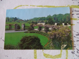 Cp Wisteria In Bloom At The Entrance To The Reception Center Lynchburg 1977 - Other & Unclassified