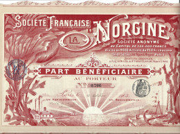 TOP DECO - SOCIETE FRANCAISE LA NORGINE 1903 - Industrie