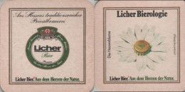 5005982 Bierdeckel Quadratisch - Licher - Beer Mats