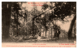 La Guerre De 1914 Dans Les Vosges (Weick) - Au Col De La Chipotte - Tombes Militaires... - Other & Unclassified