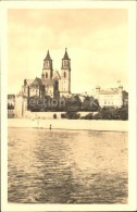 71848195 Magdeburg Dom Magdeburg - Magdeburg