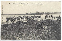 BARFLEUR (50) - Charrettes à La Récolte Du Varech -  AGRICULTURE - Ed. Librairie Papeterie A. Brochard, Valognes - Barfleur