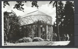 Poland, Gdansk - Oliwa, The Palm-House In "Adam Mickiewicz" Park,1967. - Pologne