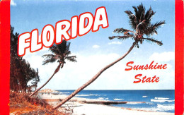 Souvenir Folder Of Florida - Sunshine State - Autres & Non Classés