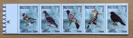 SYRIA 2024 Birds 5v Syrian Wildlife MNH - Other & Unclassified