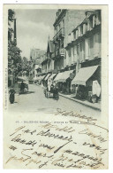 SALIES DE BEARN (64) - Avenue Du Jardin Public - Oblit. 1901 - Ed. G. Pondarré & Fils, Orthez - Salies De Bearn