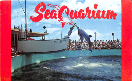 Souvenir Folder Of Miami - Seaquarium - Miami