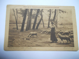 THEME DIVERS CARTE ANCIENNE EN N/BL OFFERT PAR LE PHOSCAO  ET LA PHOSCAO BEBE DANS LA CAMPAGNE LEROLLE LUXEMBOURG FEMME - Publicité