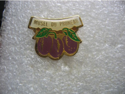 Pin's Du Musée Du Pruneau - Associations