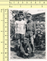REAL PHOTO Three Boys In Shorts In Garden, Garcons Dans Le Jardin Old Snapshot - Personnes Anonymes