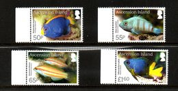 ASCENSION, 2016, FISHES,4v.  MNH** - Pesci