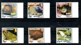 ASCENSION, 2017, FISHES- EELS, 6v. MNH** - Poissons