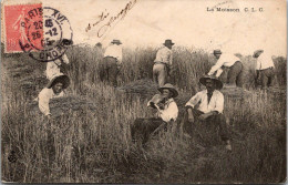 (02/06/24) THEME AGRICULTURE-CPA LA MOISSON - Culture