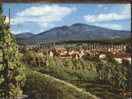 71862050 Muellheim Baden Panorama Weinort Weinrebe Muellheim - Other & Unclassified