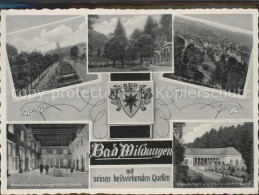 71862026 Bad Wildungen Brunnenallee Wandelhalle Quelle Kurpark Wappen Albertshau - Bad Wildungen