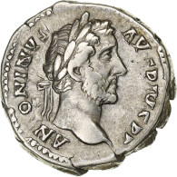 Antonin Le Pieux, Denier, 145-161, Rome, Argent, TTB+, RIC:136 - Les Antonins (96 à 192)