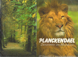 FOLDER  - PLANCKENDAEL - DIERENPARK VAN MECHELEN - ZOO ANTWERPEN   - 97 FOTO'S  - 23 CM X 15,5 CM  (2 Scans) (BO 118) - Sonstige & Ohne Zuordnung