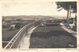Carte Postale Ancienne: GOURDON: Promenade De L'arbre Long. - Gourdon