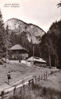 MUNTII BUCEGI : CABANA SCROPOASA - CARTE VRAIE PHOTO / REAL PHOTO POSTCARD - EDITURA MERIDIANE ~ 1960 (an889) - Rumänien