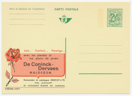 Publibel - Postal Stationery Belgium 1970 Flower - Rose - Other & Unclassified