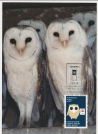 Maximum Card Australia 2009 Bird - Owl - Environment - Switch Off - Electricity - Otros & Sin Clasificación