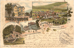 Gruss Aus Braunlage - Litho 1895 - Braunlage