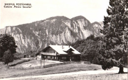 MASIVUL POSTAVARUL : CABANA POIANA SECUILOR - CARTE VRAIE PHOTO / REAL PHOTO POSTCARD - C.P.C.S. ~ 1960 (an890) - Romania